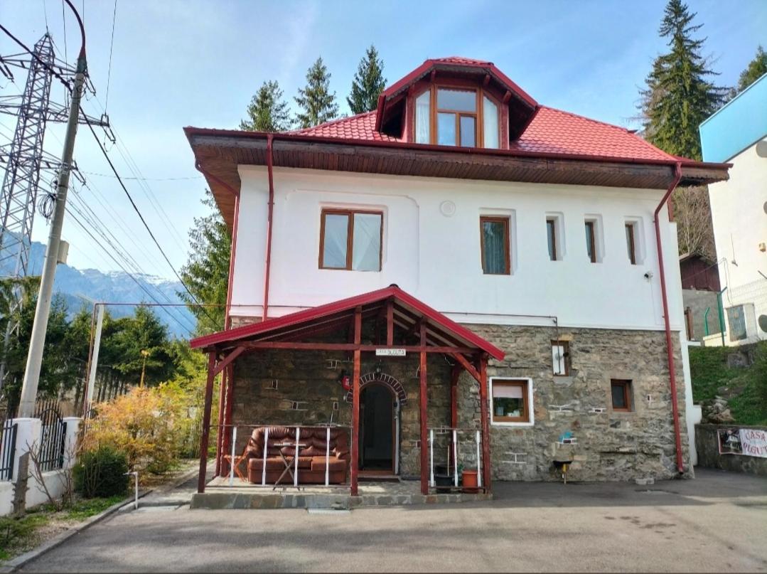 Casa Olguta Sinaia Exterior photo