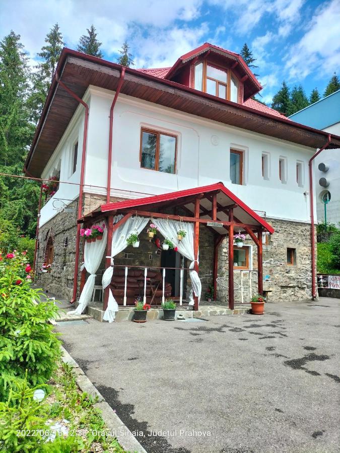 Casa Olguta Sinaia Exterior photo