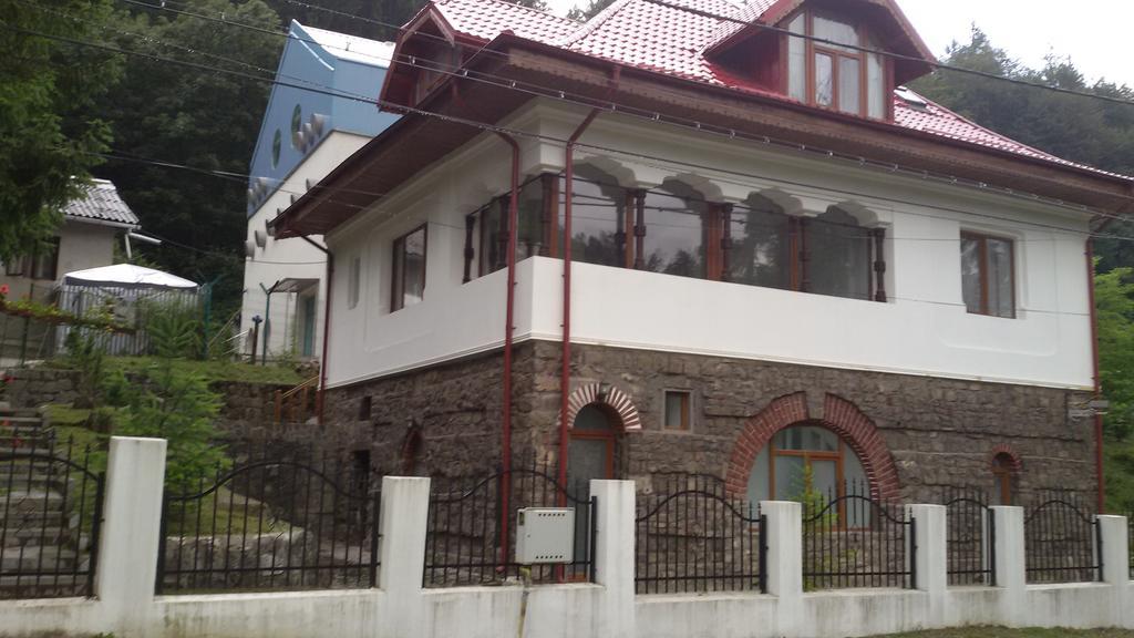 Casa Olguta Sinaia Exterior photo