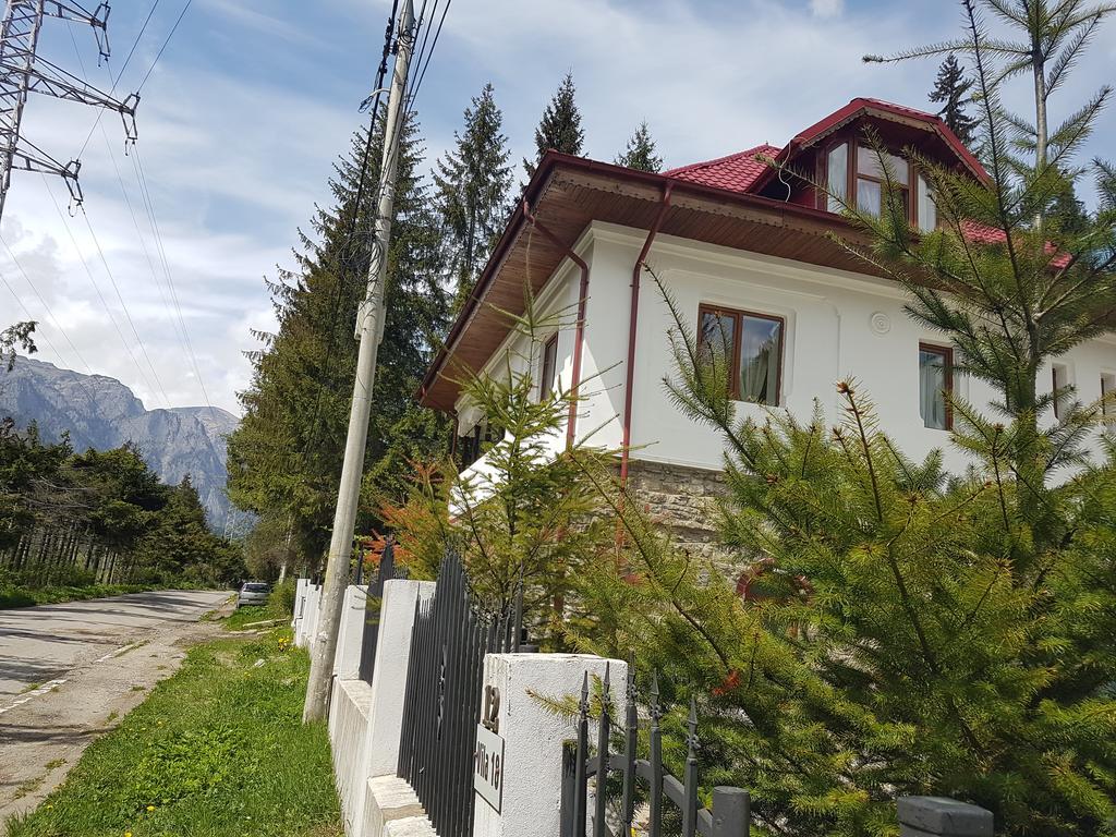 Casa Olguta Sinaia Exterior photo