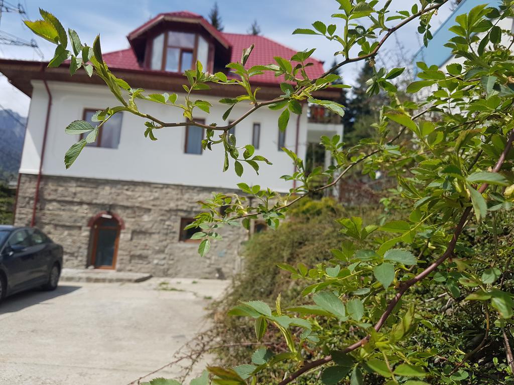 Casa Olguta Sinaia Exterior photo