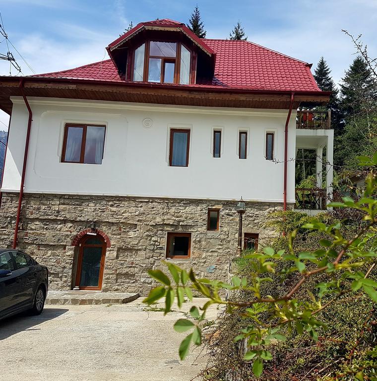 Casa Olguta Sinaia Exterior photo